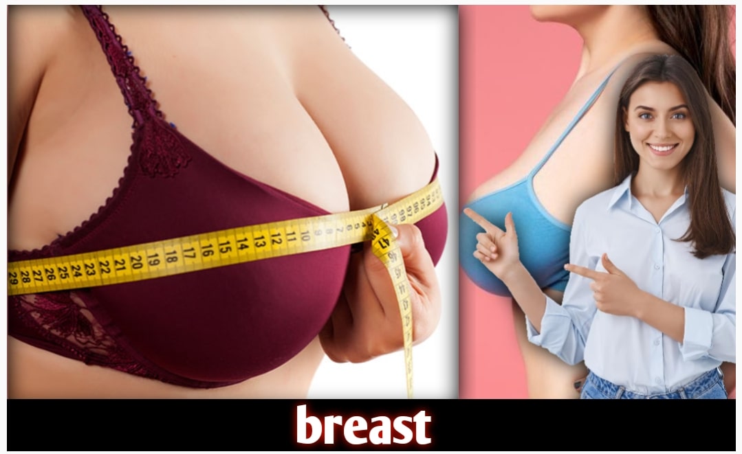 Breast Size Charts with Examples