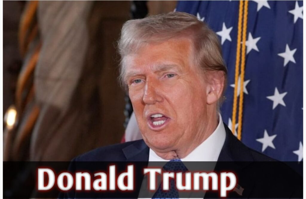 Donald Trump 2024 Net Worth