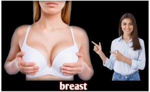 A Cup Breast Size